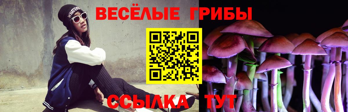 Советский  Псилоцибиновые грибы ЛСД  Вход с VPN 